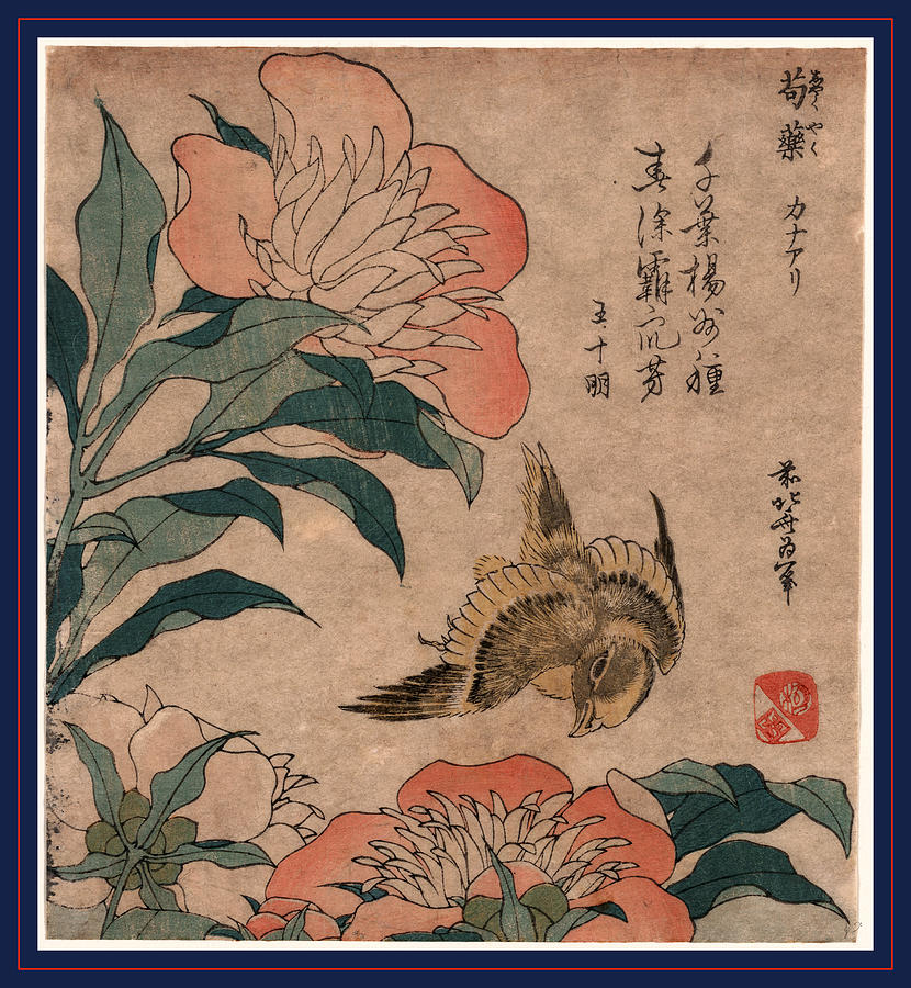 Hokusai Drawing - Shakuyaku Kana Ari, Peony And Canary. 1833 Or 1834 by Hokusai, Katsushika (1760-1849), Japanese