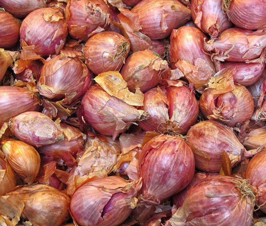 Shallots Photograph by Dave Mills