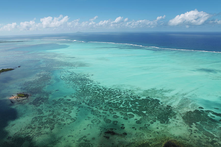 Shallow Coral Sea Along The Mauritius Photograph by Narvikk