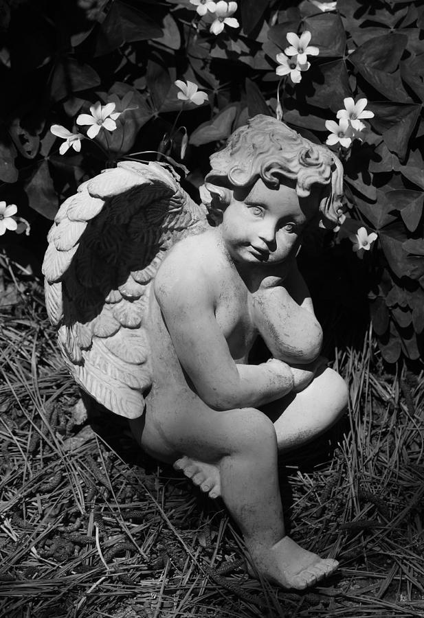 Shamrock Angel in Black and White Photograph by Suzanne Gaff