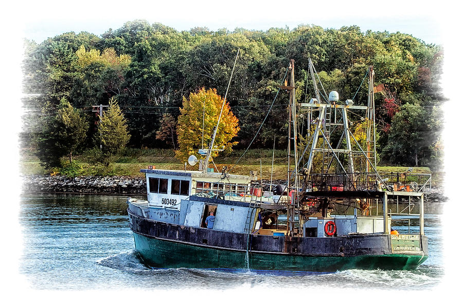 Shamrock Commercial Fishing Vessel Photograph by Constantine Gregory