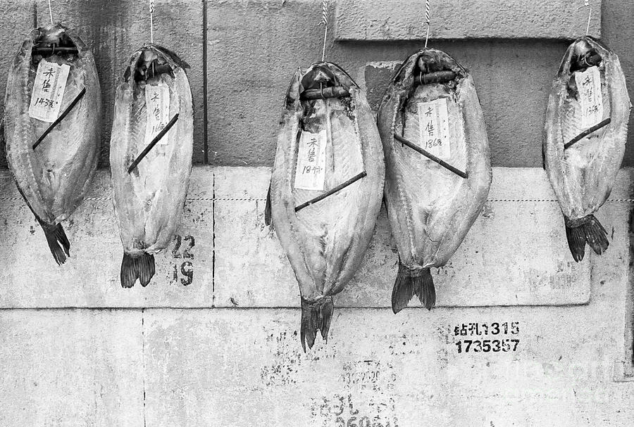 Shanghai Fish Drying Photograph by Dean Harte