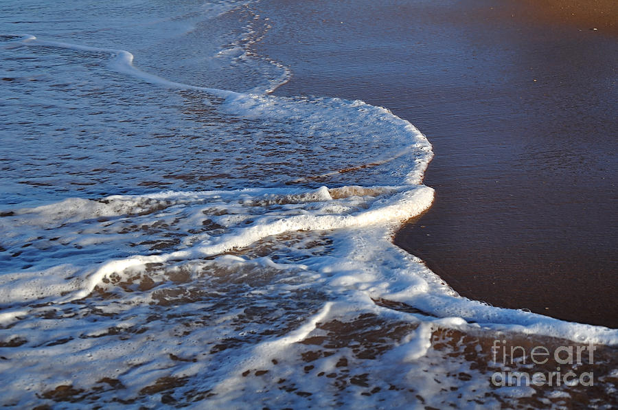 Shapely Seashore Photograph by Kaye Menner