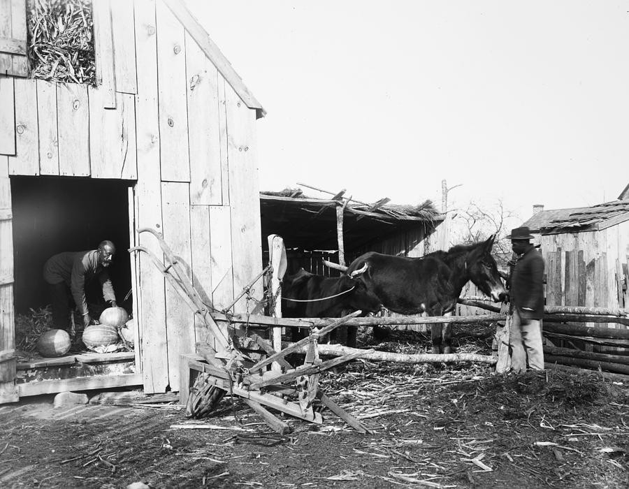 Sharecroppers, 1899 Photograph by Granger