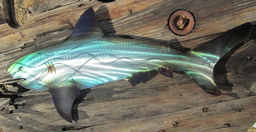 Shark Wall Art shark abstract metal wall art sculpturerobert blackwell Shark Wall Art shark abstract metal wall art sculpturerobert blackwell