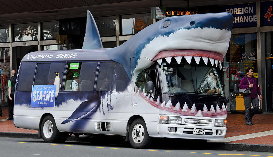 Sharks Photograph - Shark Bus by Bob VonDrachek