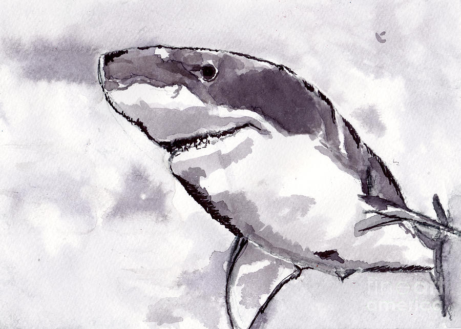 Wildlife Painting - Shark by Michael Rados