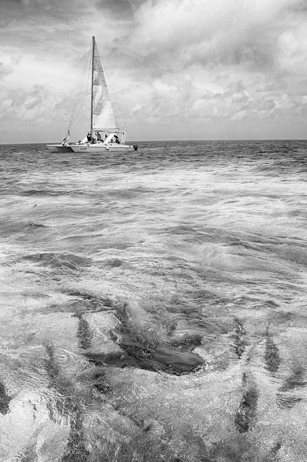Shark n Sail Black n White Photograph by Kristina Deane