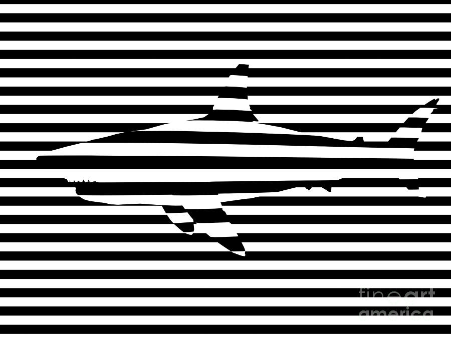 Shark Optical Illusion Painting