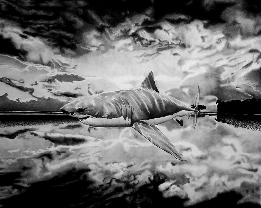 Shark Out Of Water Drawing by Jason Dunning Fine Art America
