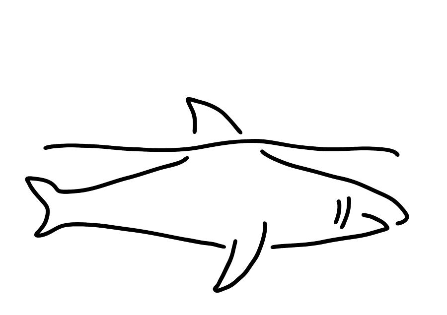 Illustration Drawing - Shark Shark Fish Fin Sea by Lineamentum