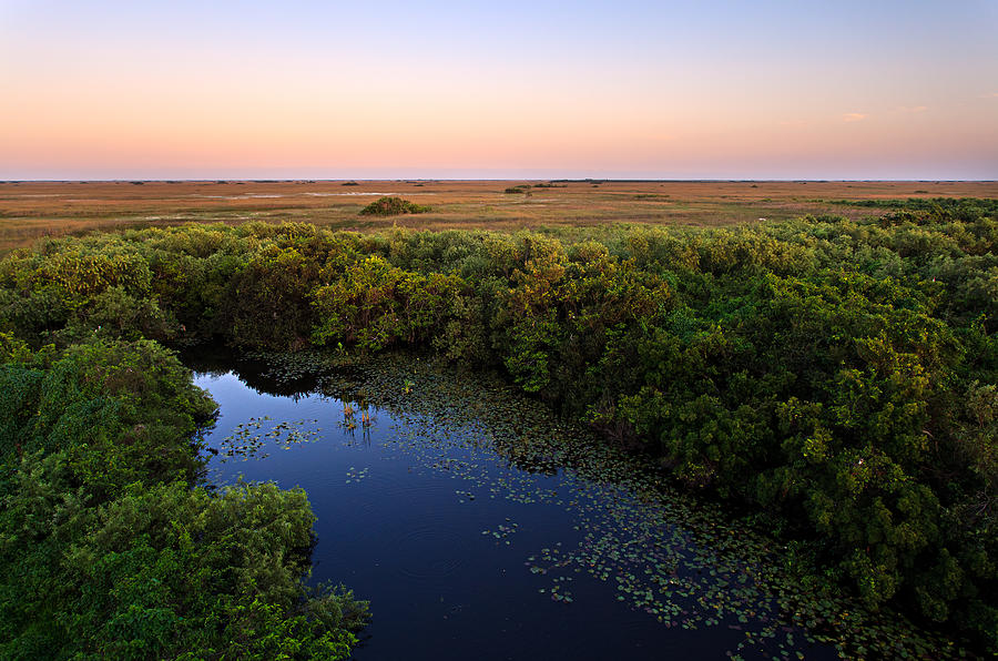 Shark Valley Photograph by Jonathan Gewirtz - Pixels