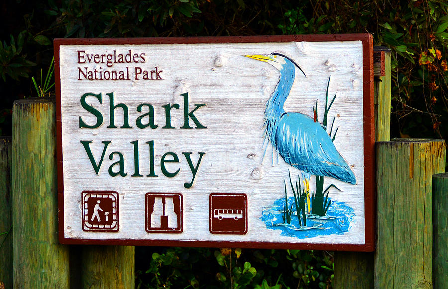Shark Valley sign Photograph by David Lee Thompson