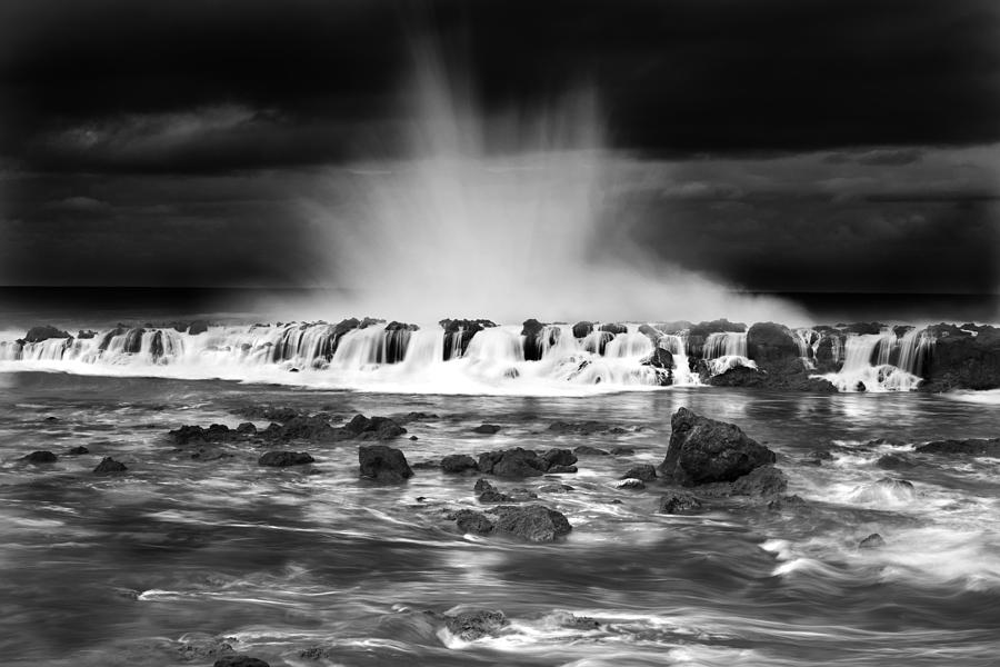 Nature Photograph - Sharks Cove Spectacle by Sean Davey