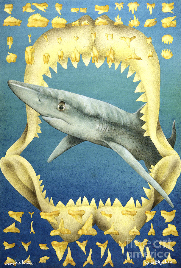 Sharks Painting - Sharks Truth... by Will Bullas