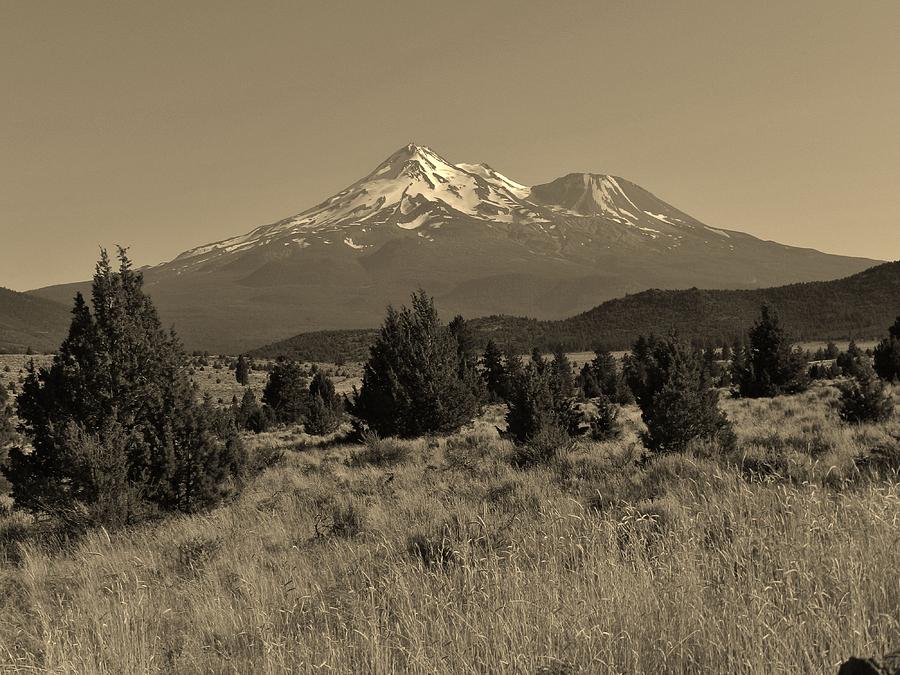 Nature Photograph - Shasta and Field by Charles Lucas