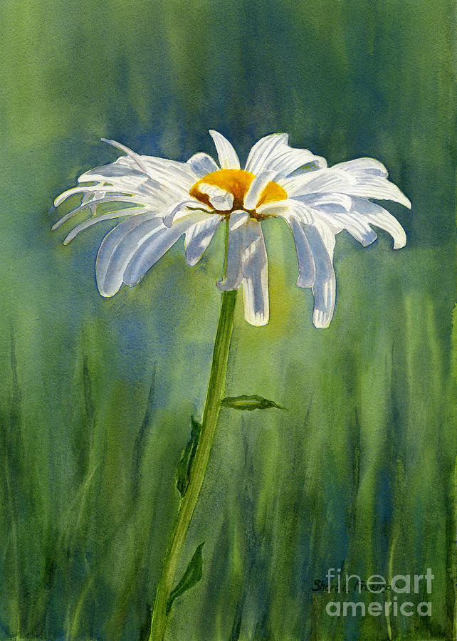 Bức tranh hoa Shasta Daisy nữ tính và đầy thơ mộng sẽ mang tới cho bạn trải nghiệm tuyệt vời. Hãy chiêm ngưỡng ngay!