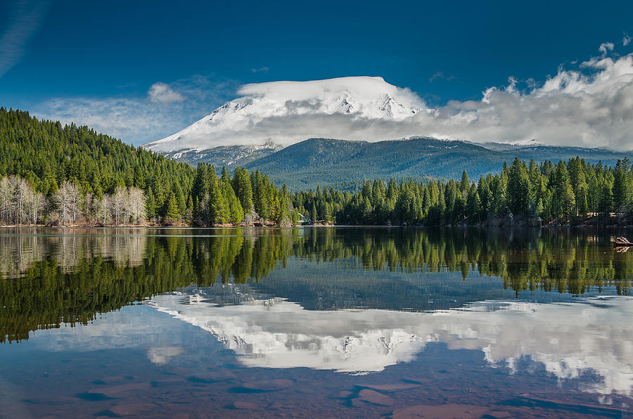 Mountain Photograph - Shasta Morning in Spring by Greg Nyquist