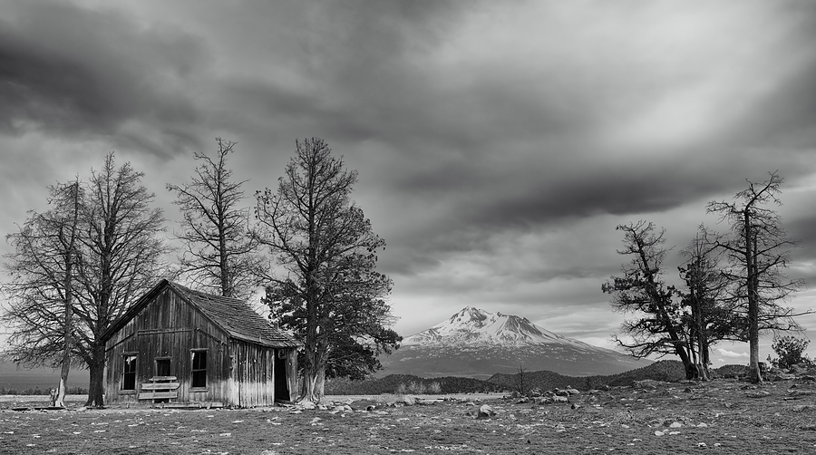 Shasta Valley Winter Scene Photograph by Loree Johnson