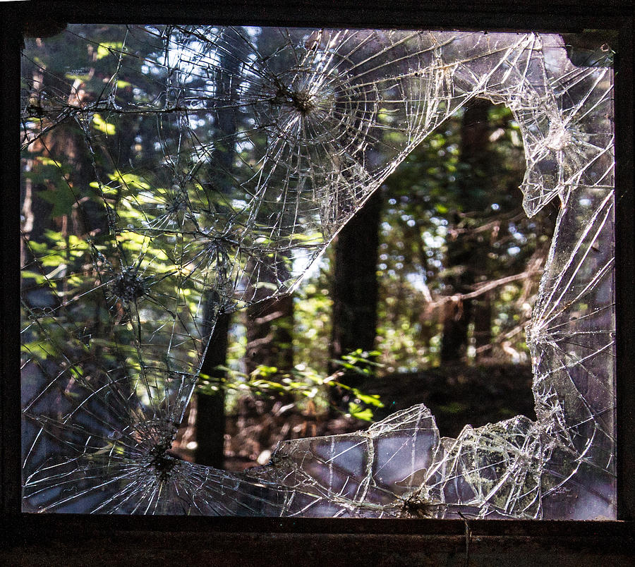 https://images.fineartamerica.com/images-medium-large-5/shattered-glass-frame-of-woods-douglas-barnett.jpg