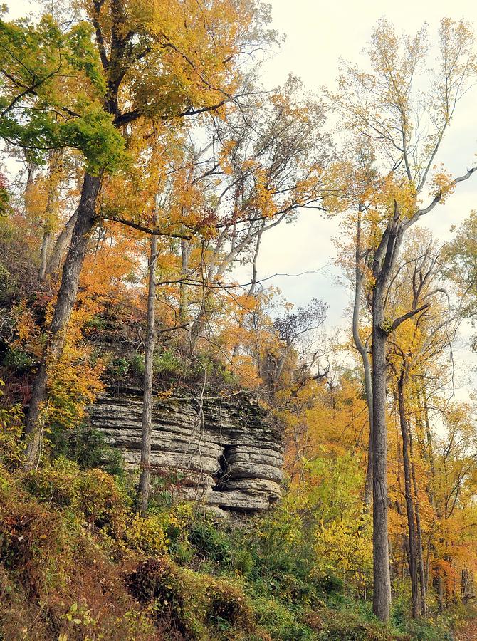 Shawee Bluff in Fall Photograph by Marty Koch