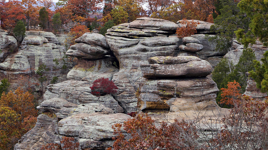 Shawnee Forest Rock Formation Photograph by Sandy Keeton