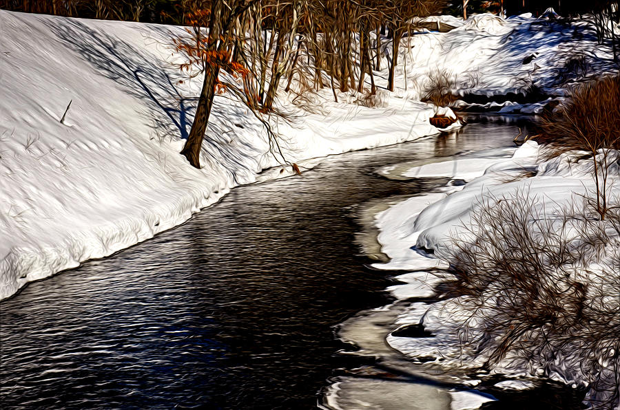 Tree Photograph - Shawsheen River by Tricia Marchlik