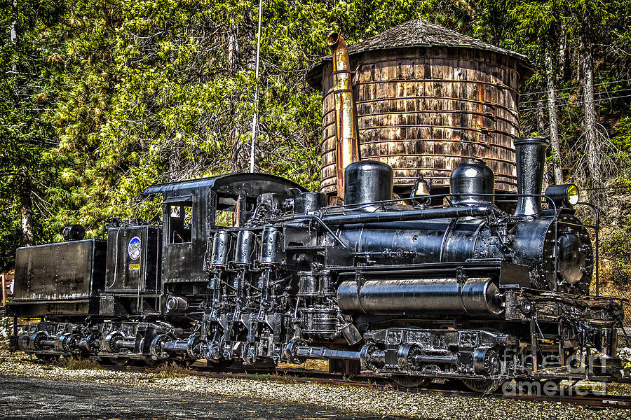 Shay Locomotive Photograph by Randy Wood