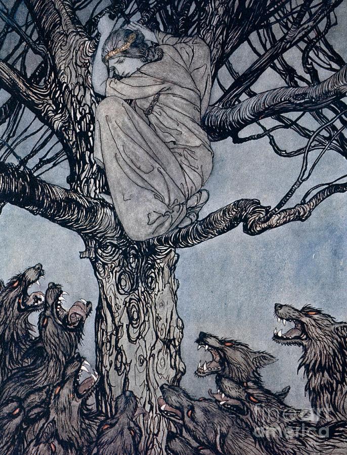 She looked with angry woe at the straining and snarling horde below illustration from Irish Fairy  Drawing by Arthur Rackham