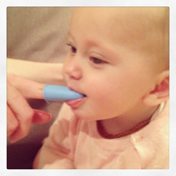 She Loves Getting Her Teeth Brushed Photograph by Rosie Odonnell