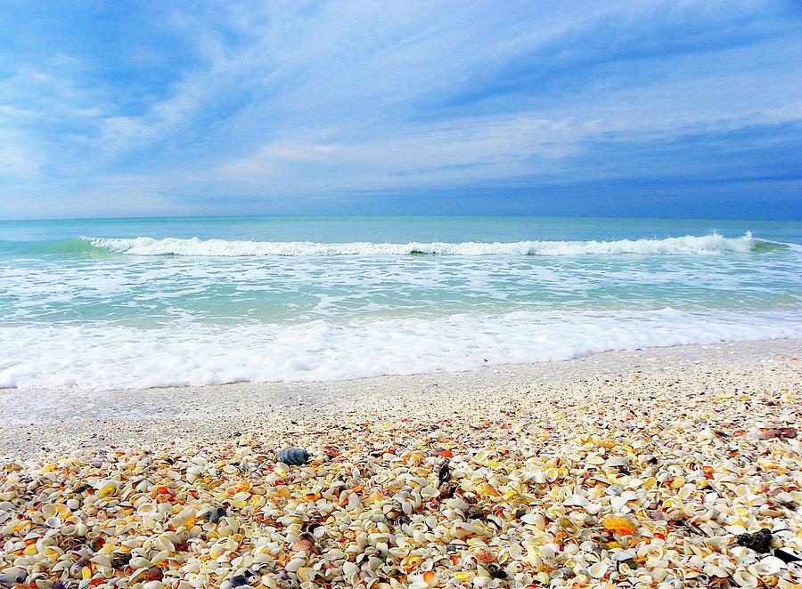 Beach Photograph - She Sells SeaShells... by Carolyn Bistline Beach Photograph - She Sells SeaShells... by Carolyn Bistline