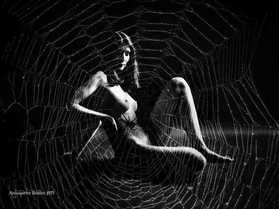Spider Photograph - She-Spider by Aleksander Rotner