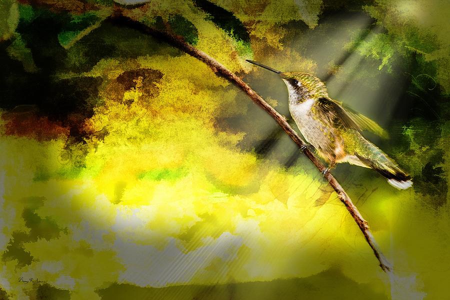 Hummingbird - Perched - She Waits Photograph by Barry Jones