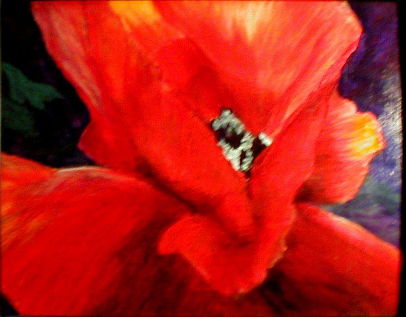 Floral Painting - She Wore Red Ruffles by Gail Kirtz Floral Painting - She Wore Red Ruffles by Gail Kirtz