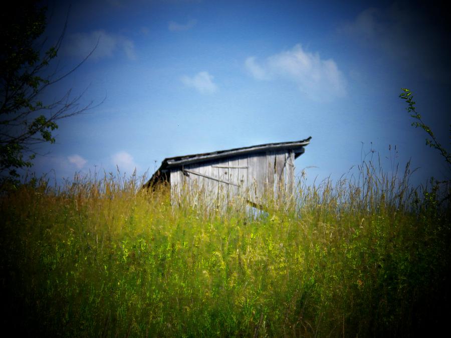 Shed in Field Photograph by Joyce Kimble Smith