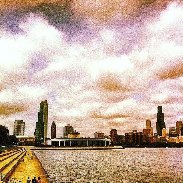 Chicago Photograph - #sheddaquarium #chicago by Shane Stewart