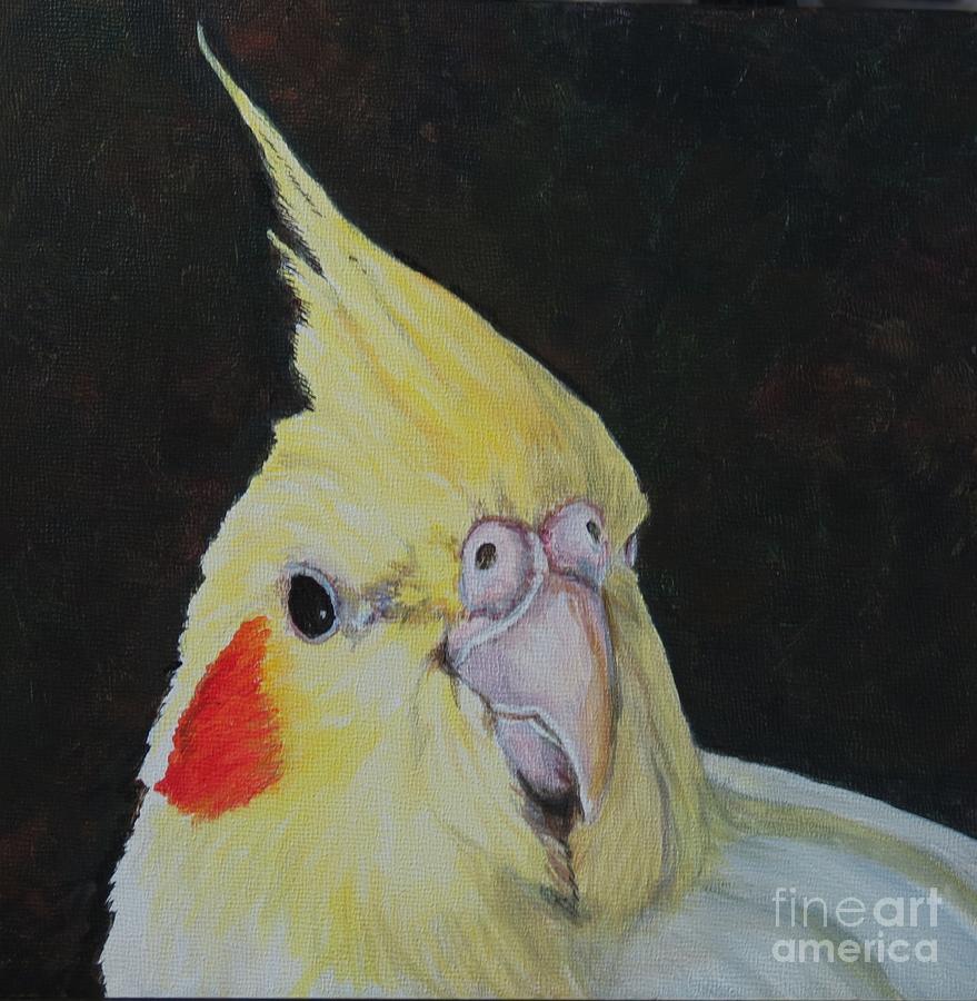Sheeka the Cockatiel Painting by Charlotte Yealey