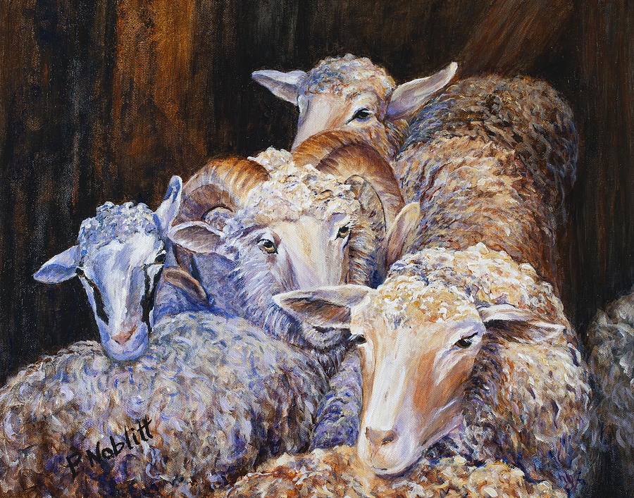 Sheep Painting - Sheep 1 by Paula Noblitt