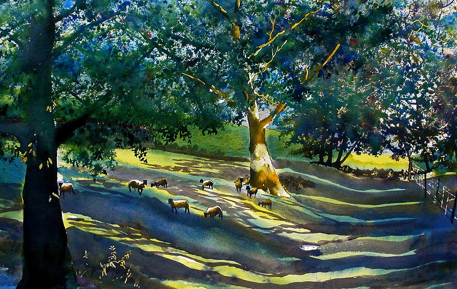 Sheep and Shade Painting by Glenn Marshall