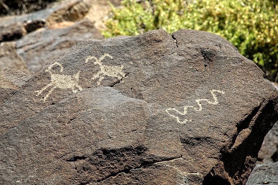 Sheep and snake petroglyph Photograph by John Bennett