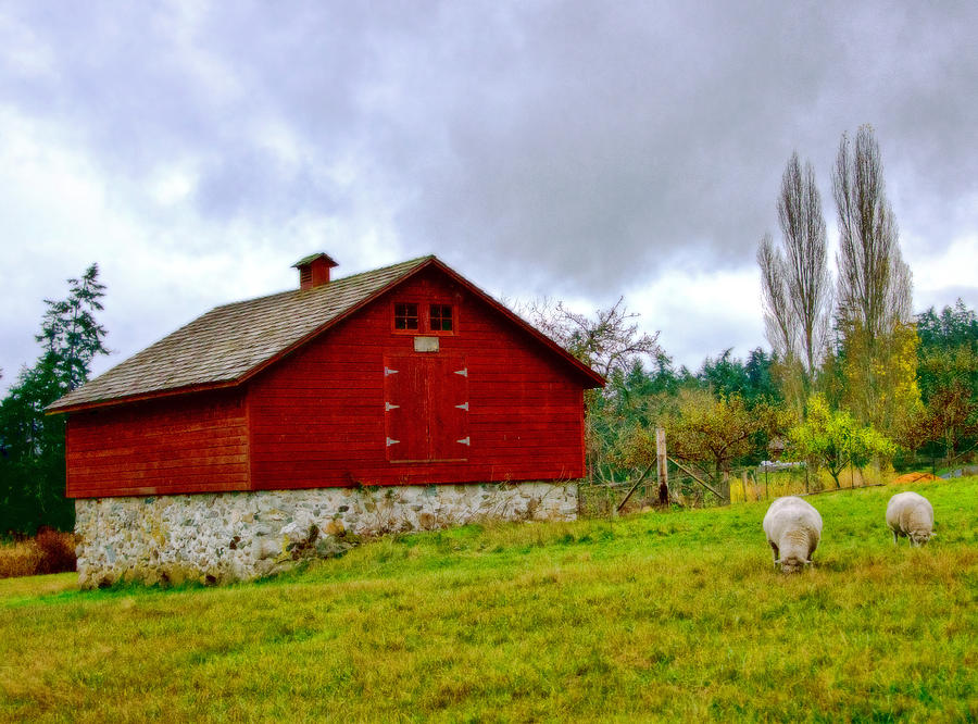 Sheep Barn Photograph by Jerry Cahill