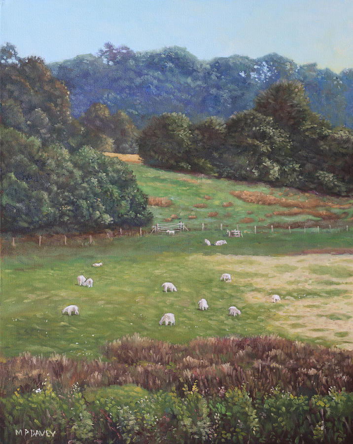 Sheep in a field in the Devon countryside Painting by Martin Davey