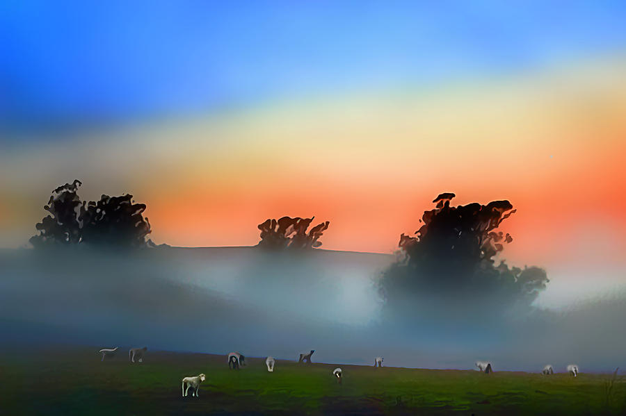 Sheep in the Early Morning Fog Digital Art by Wernher Krutein