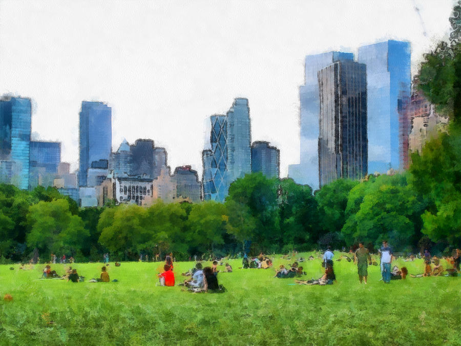 Sheep Meadow Photograph by Mick Flynn