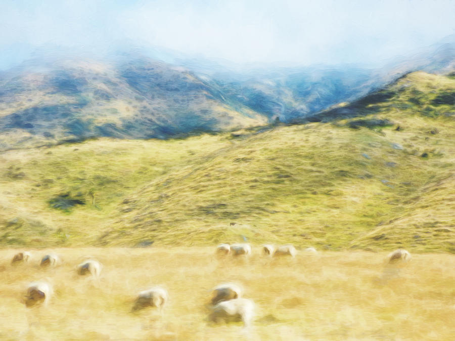 Sheep Photograph - Sheep Mist by Steve Taylor
