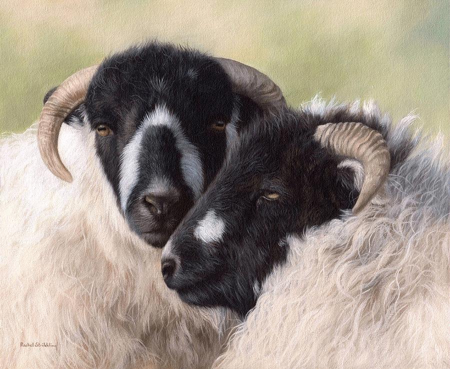 Sheep Painting Painting by Rachel Stribbling