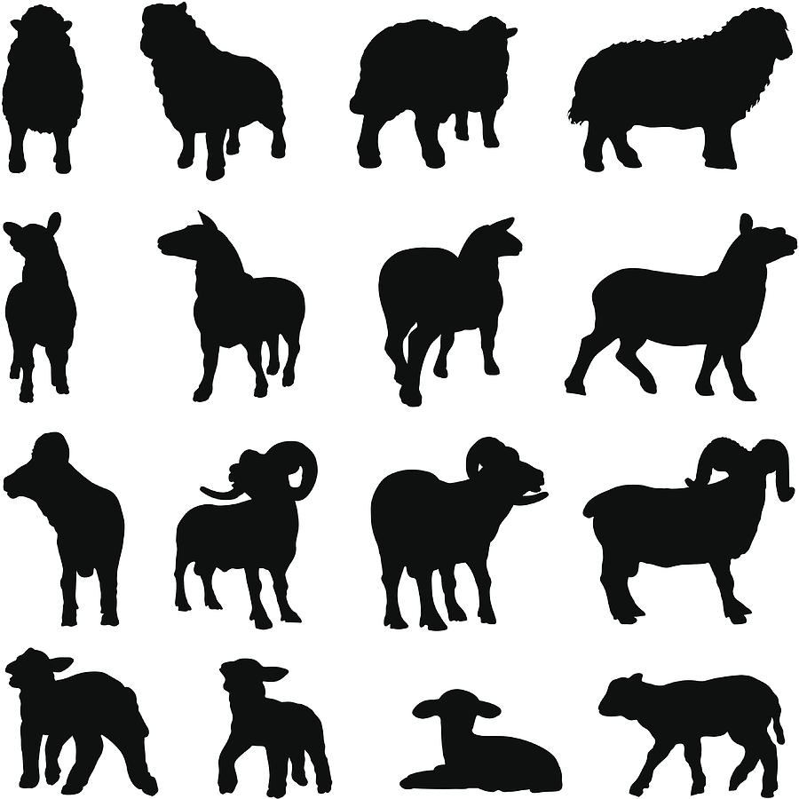 Sheep silhouette collection Drawing by Ace_Create