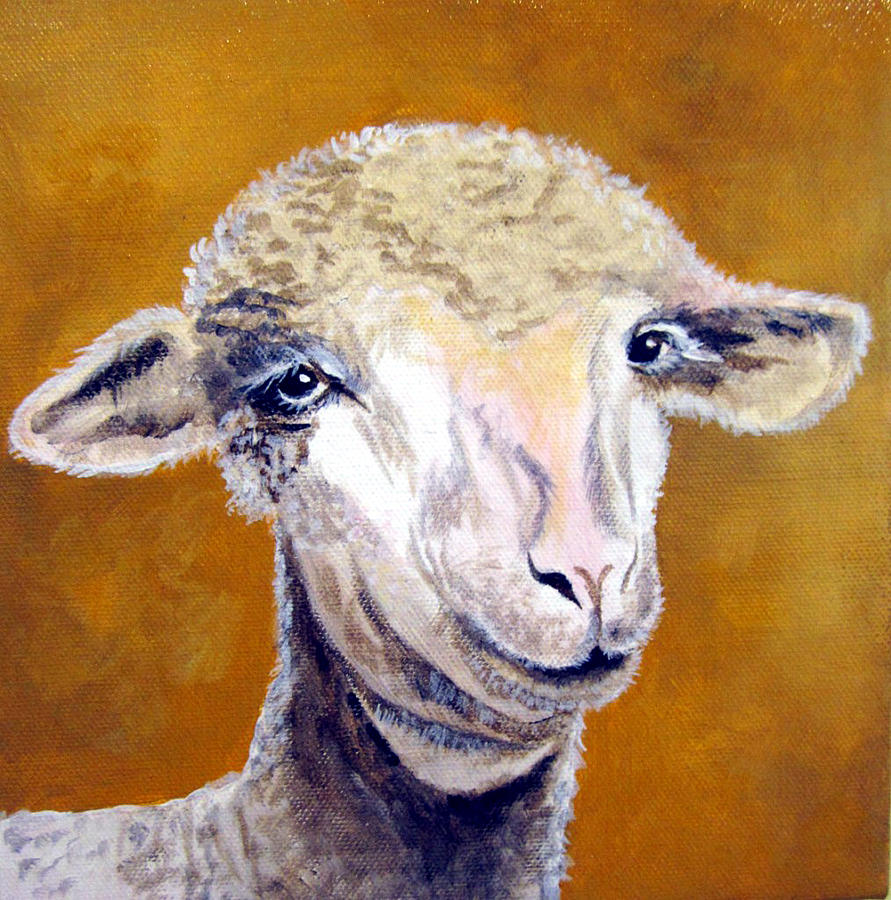 Sheep Painting by Susan Duxter Fine Art America
