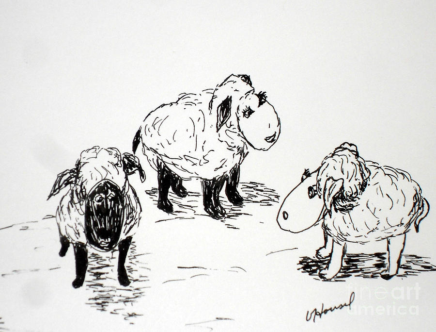 Sheep Trio Drawing by Vicki  Housel