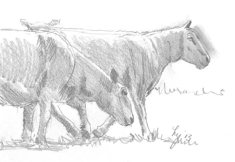 Sheep walking Drawing by Mike Jory